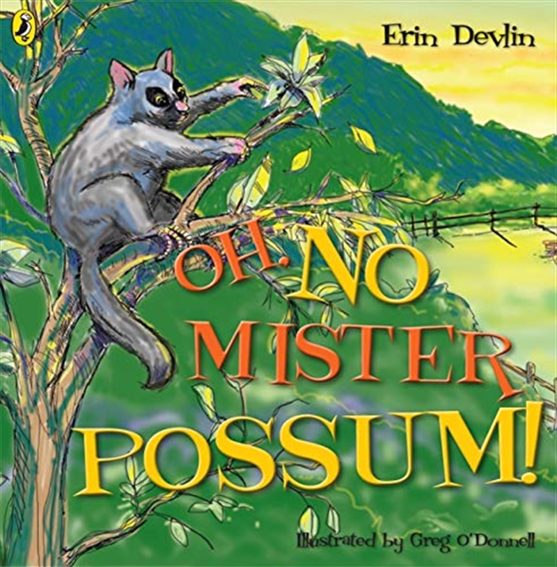 Oh, No Mister Possum!/Product Detail/Children