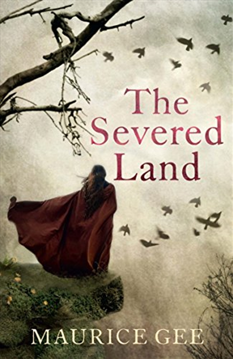 The Severed Land/Product Detail/Childrens Fiction Books