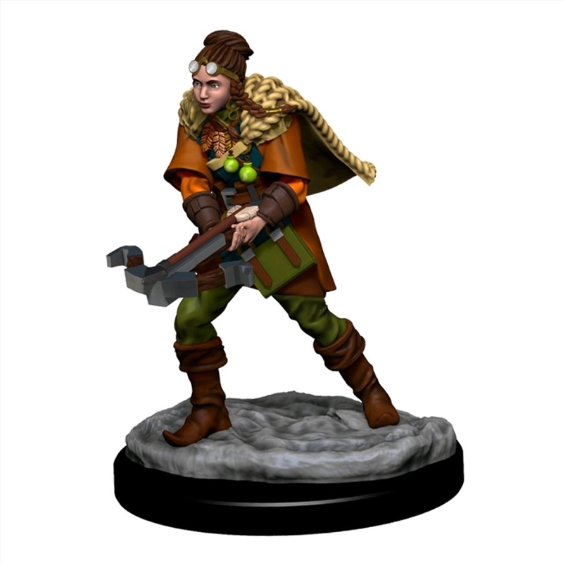 Dungeons & Dragons - Icons of the Realms Premium Human Ranger Female/Product Detail/RPG Games