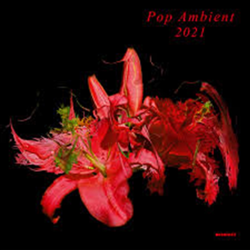 Pop Ambient 2021/Product Detail/Pop