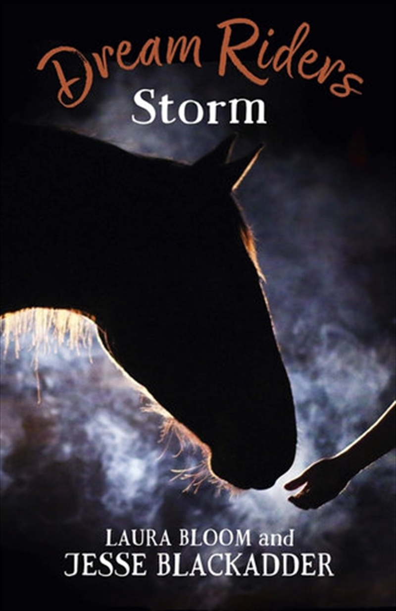 Dream Riders: Storm/Product Detail/Childrens Fiction Books