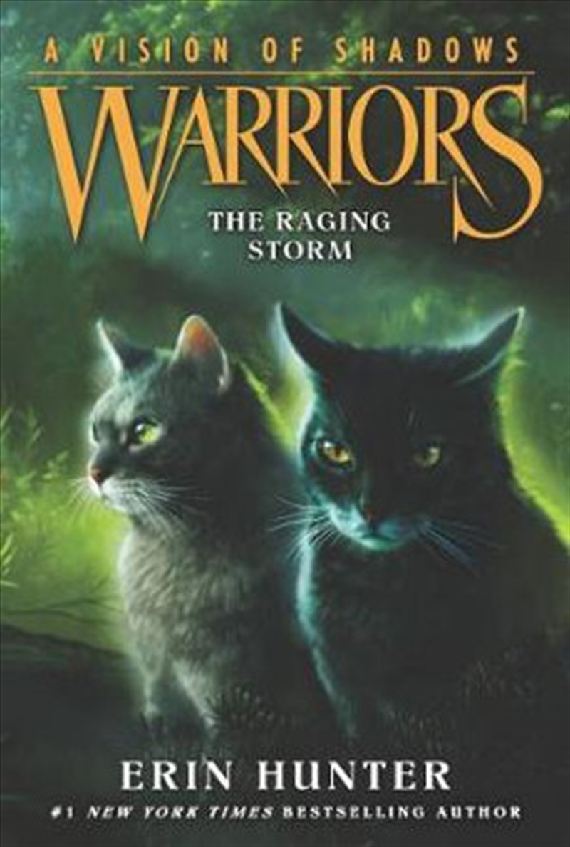 Warriors: Vision Of Shadows 6/Product Detail/Childrens Fiction Books