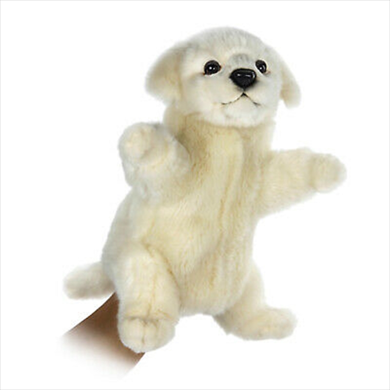 Maremma Puppy 28cm Puppet/Product Detail/Plush Toys