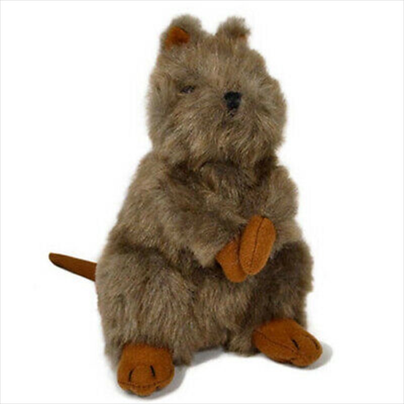 Chuckles The Quokka 16cm Plush/Product Detail/Plush Toys