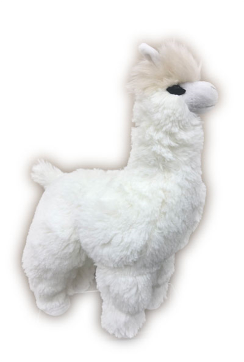 Sofia The Alpaca White 20cm Plush/Product Detail/Plush Toys