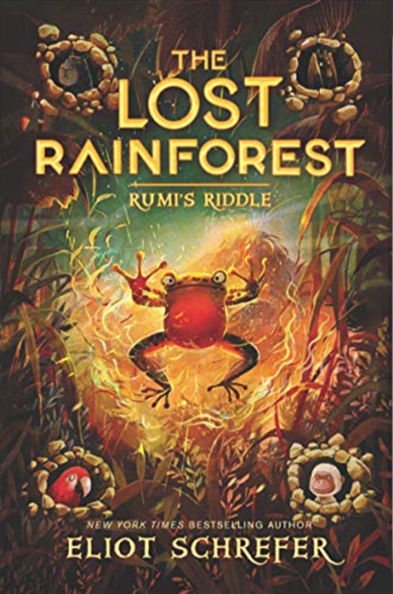 The Lost Rainforest #3: Rumi’s Riddle/Product Detail/Childrens Fiction Books