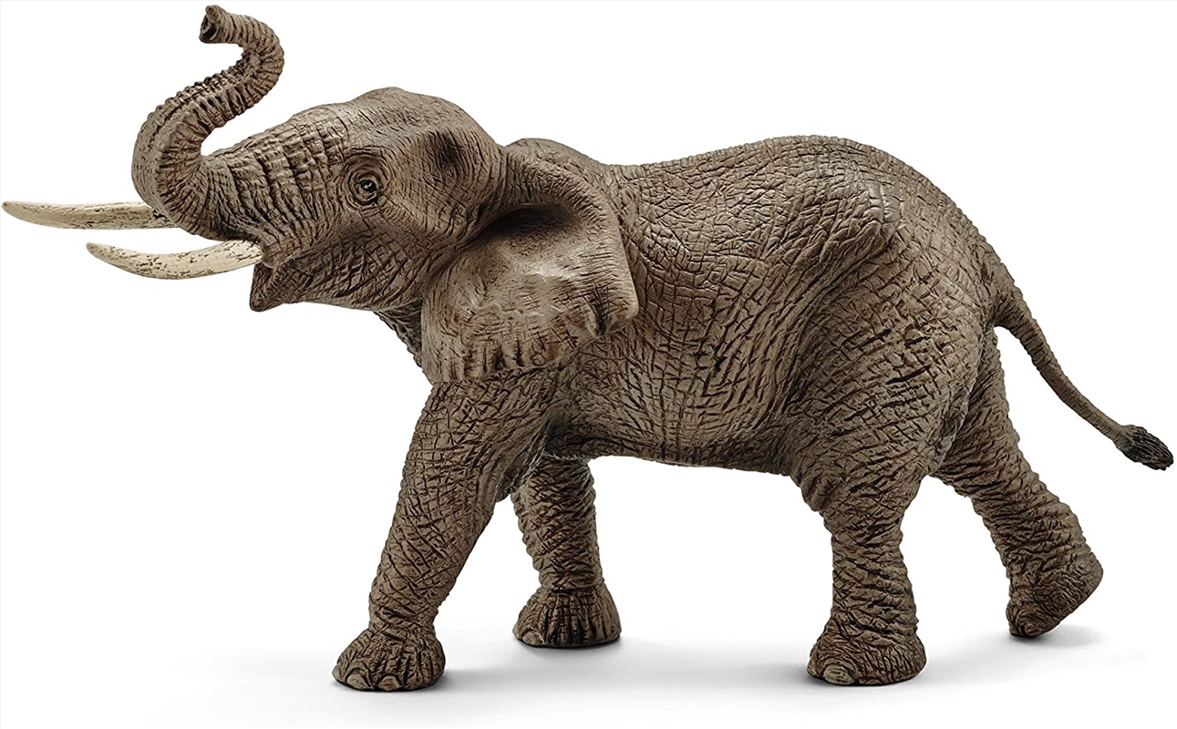 Schleich Figure - African Elephant: Male/Product Detail/Play Sets