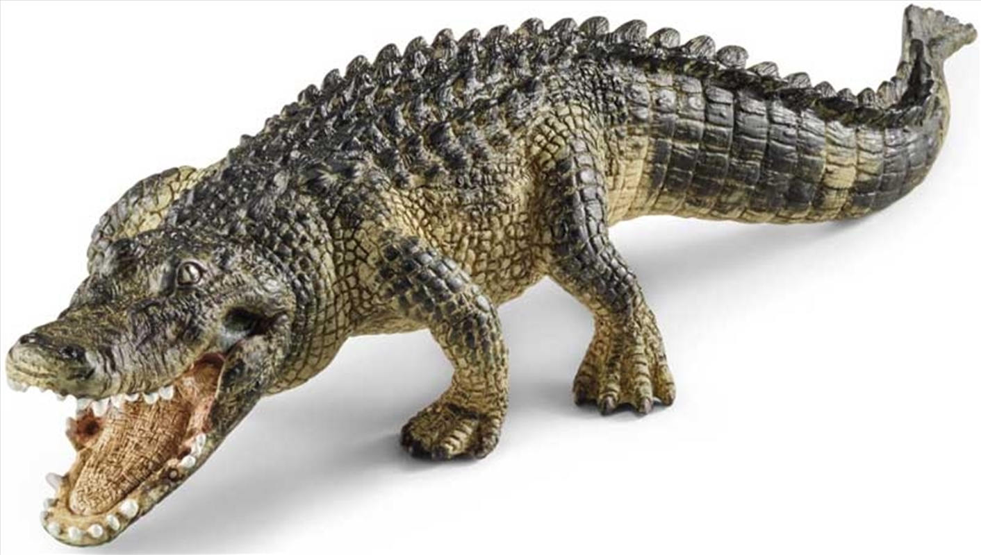 Schleich Figure - Alligator/Product Detail/Play Sets