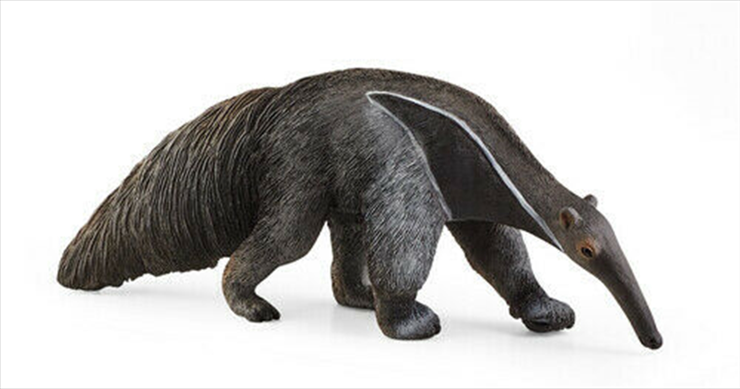 Schleich Figure - Anteater/Product Detail/Play Sets