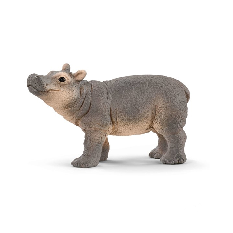 Schleich Figure - Baby Hippopotamus/Product Detail/Play Sets