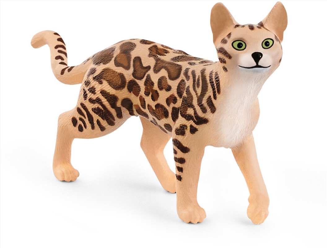 Schleich Figure - Bengal Cat/Product Detail/Play Sets