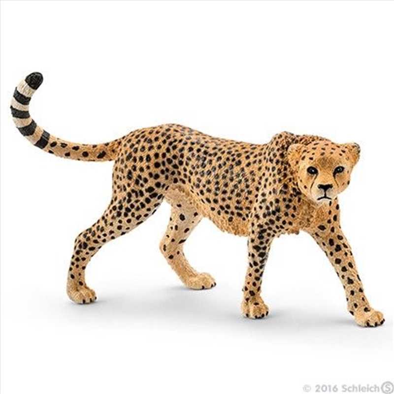 Schleich Figure - Cheetah: Female/Product Detail/Play Sets