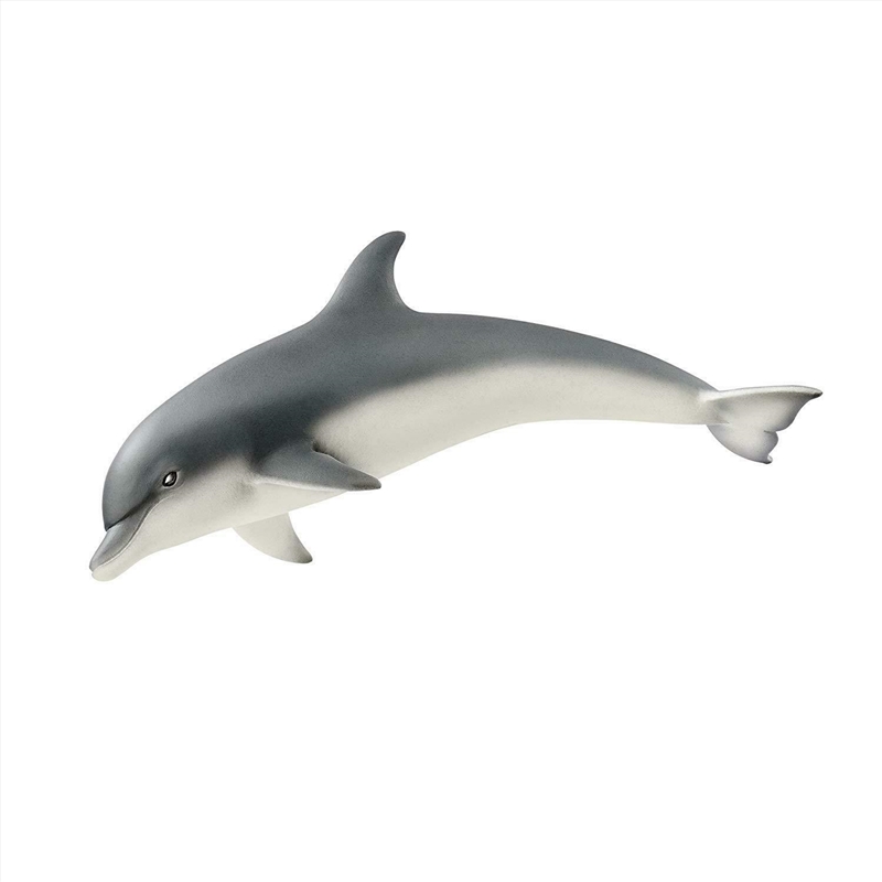 Schleich Figure - Dolphin/Product Detail/Play Sets