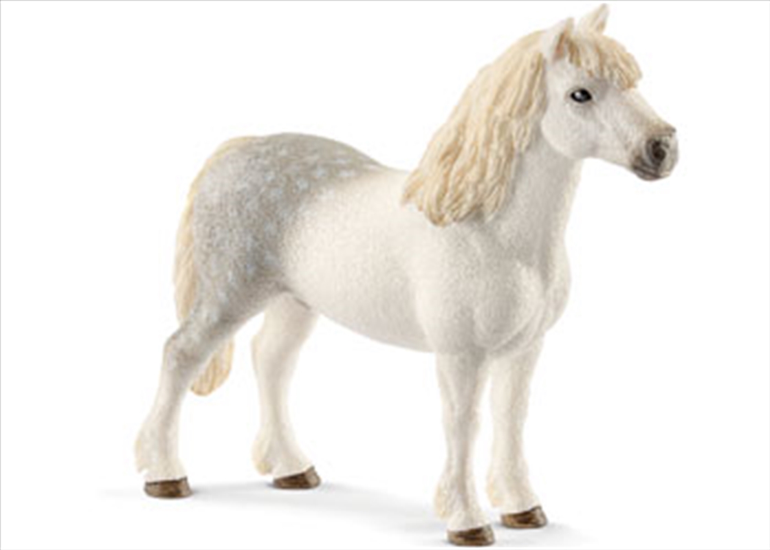 Schleich - Welsh Pony Stallion/Product Detail/Play Sets