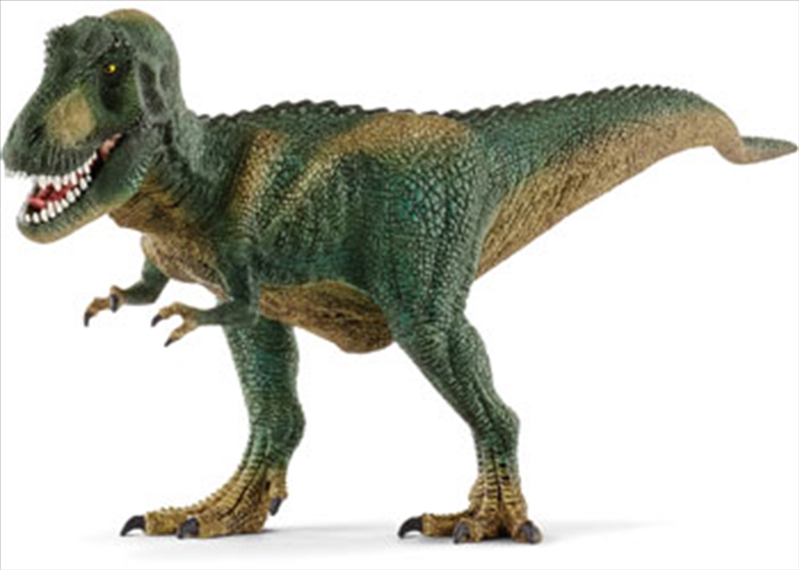 Schleich - Tyrannosaurus Rex/Product Detail/Play Sets