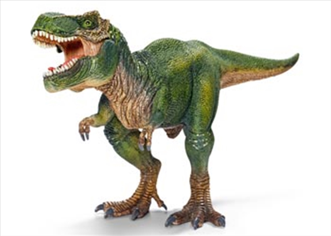 Schleich - Tyrannosaurus Rex/Product Detail/Play Sets