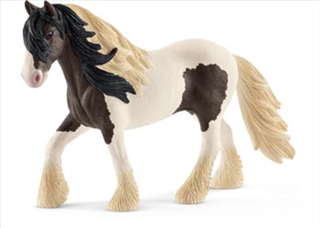 Schleich - Tinker Stallion/Product Detail/Play Sets