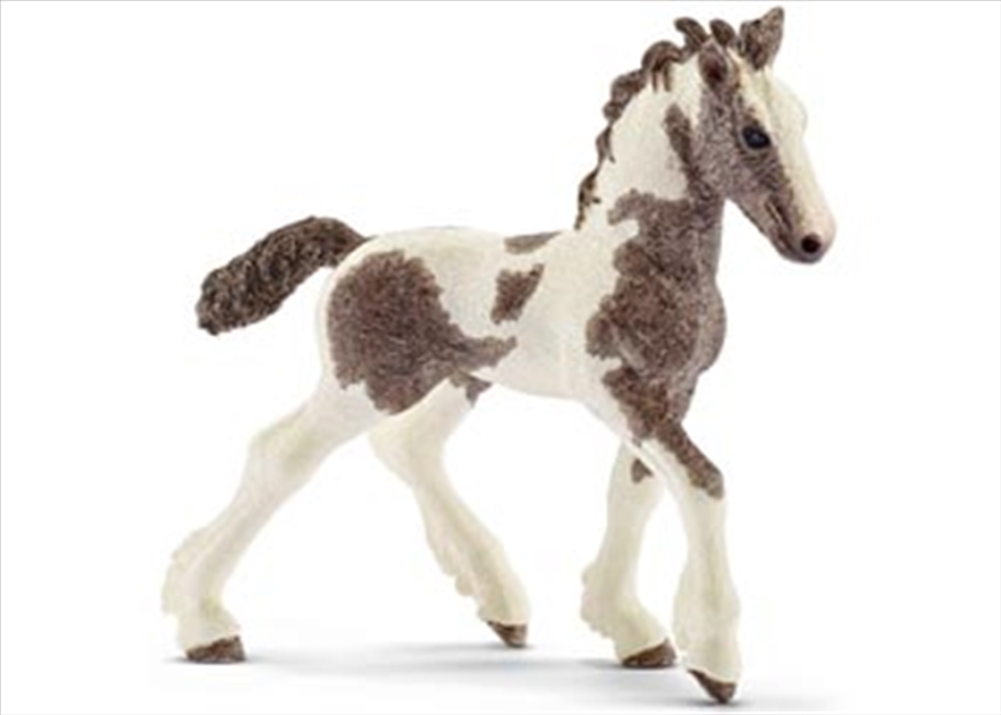 Schleich - Tinker Foal/Product Detail/Play Sets