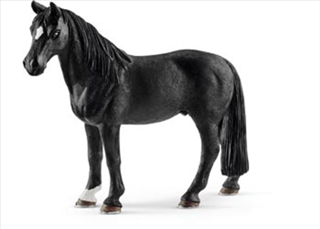 Schleich - Tennessee Walker Gelding/Product Detail/Play Sets