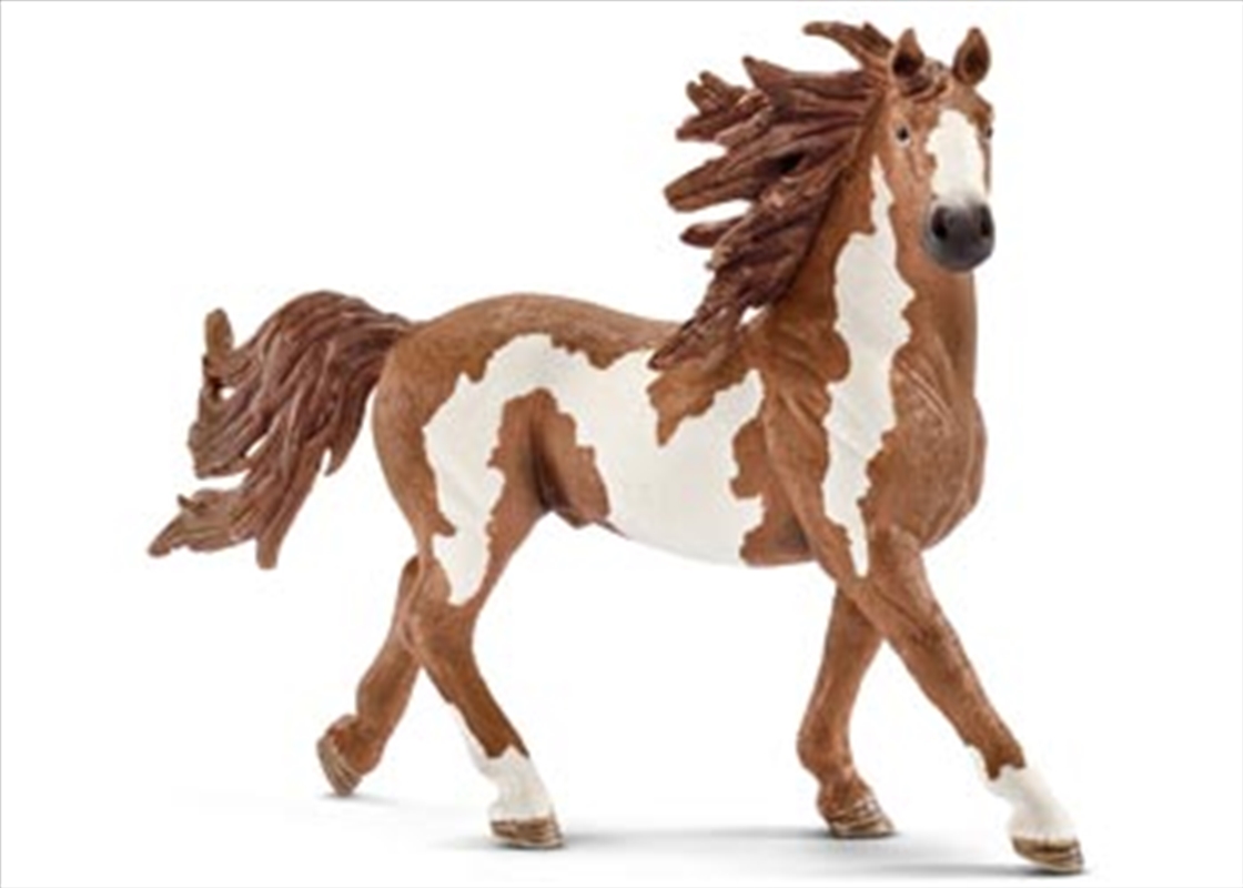 Schleich - Pinto Stallion/Product Detail/Play Sets