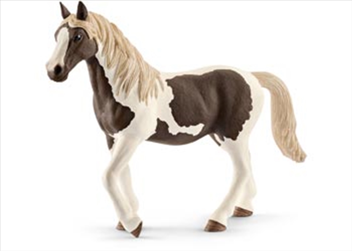 Schleich - Pinto Mare/Product Detail/Play Sets