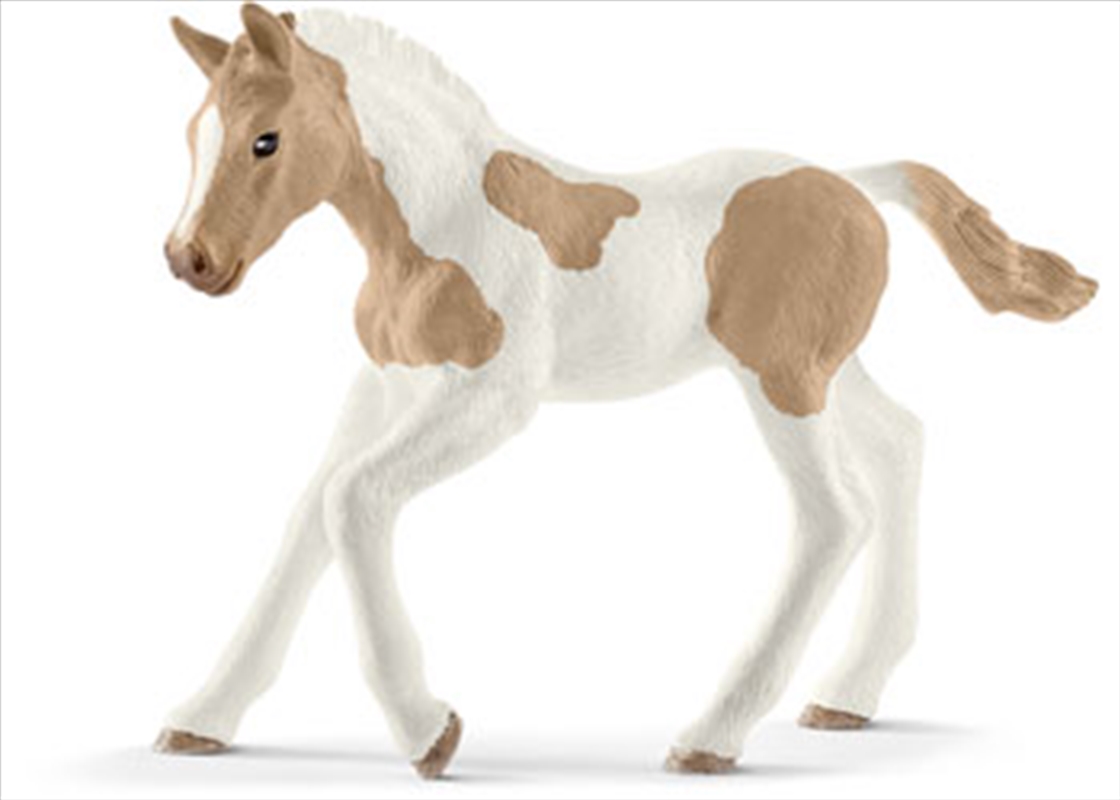 Schleich-Paint horse foal/Product Detail/Play Sets