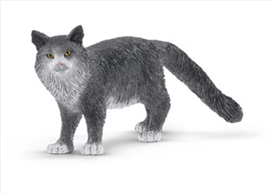 Schleich-Maine Coon Cat/Product Detail/Play Sets