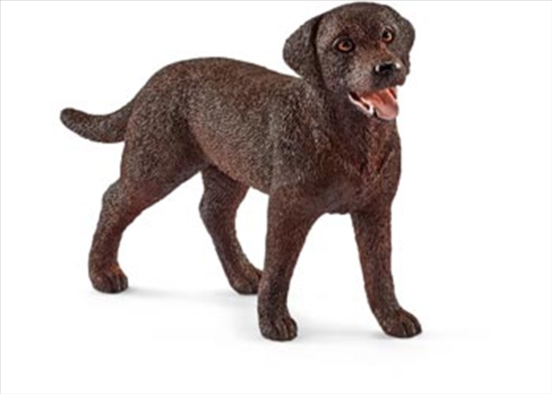 Schleich - Labrador Retriever Female/Product Detail/Play Sets