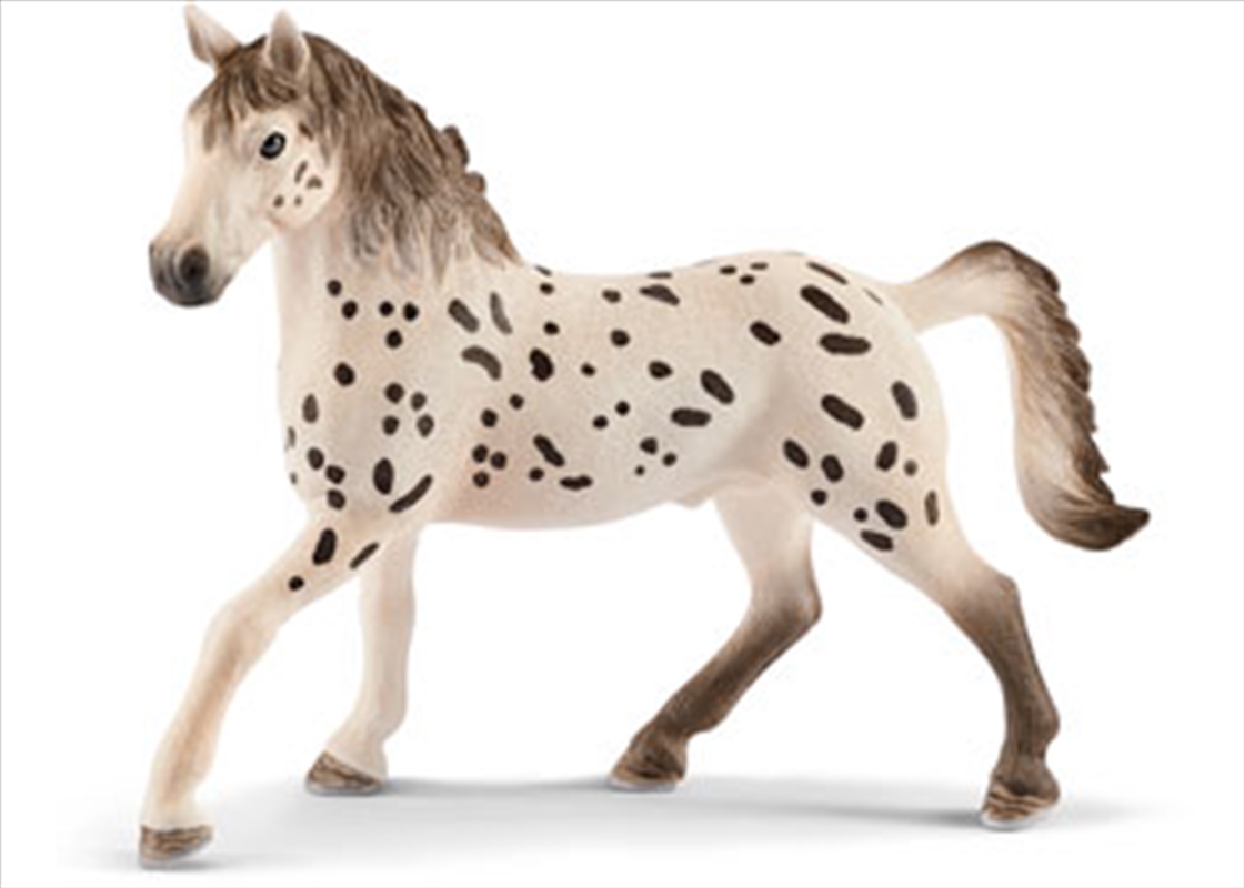 Schleich-Knapstrupper stallion/Product Detail/Play Sets