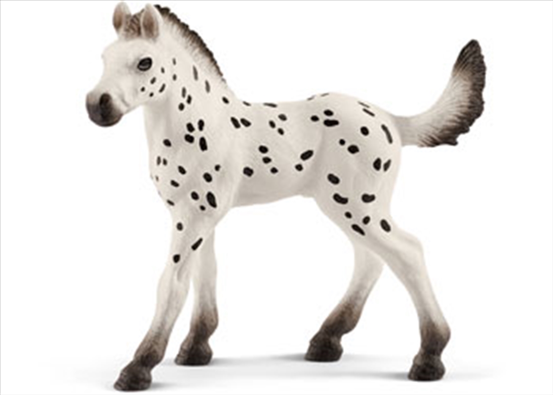 Schleich-Knapstrupper foal/Product Detail/Play Sets