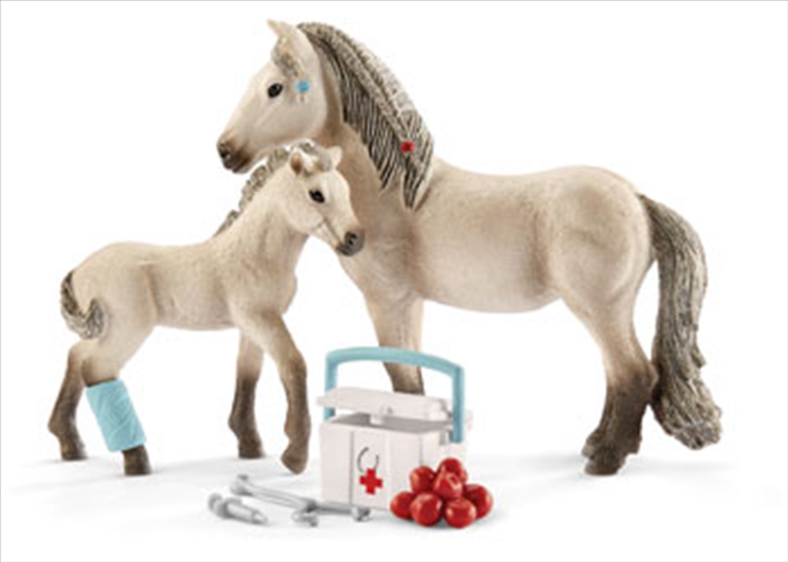 Schleich - Hannah's First-Aid kit/Product Detail/Play Sets