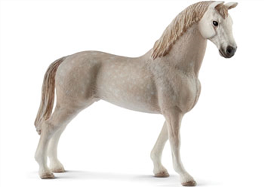 Schleich - Holsteiner Gelding/Product Detail/Play Sets