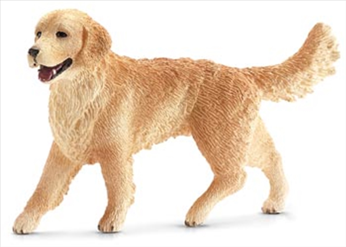 Schleich - Golden Retriever Female/Product Detail/Play Sets