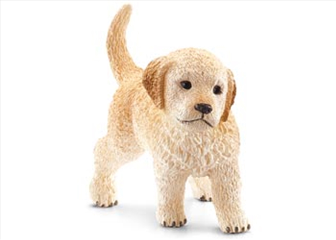 Schleich - Golden Retriever Puppy/Product Detail/Play Sets