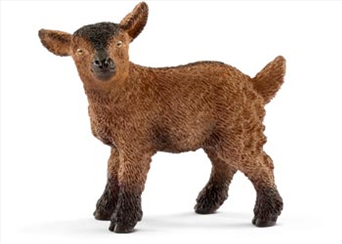 Schleich - Goat Kid/Product Detail/Play Sets