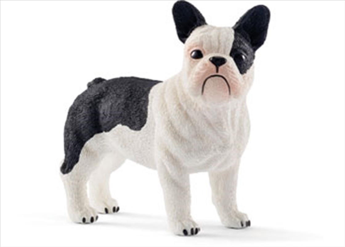 Schleich - French Bulldog/Product Detail/Play Sets