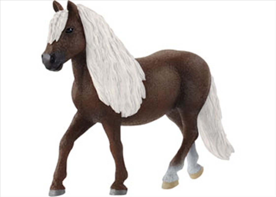 Schleich - Black Forest Mare/Product Detail/Play Sets