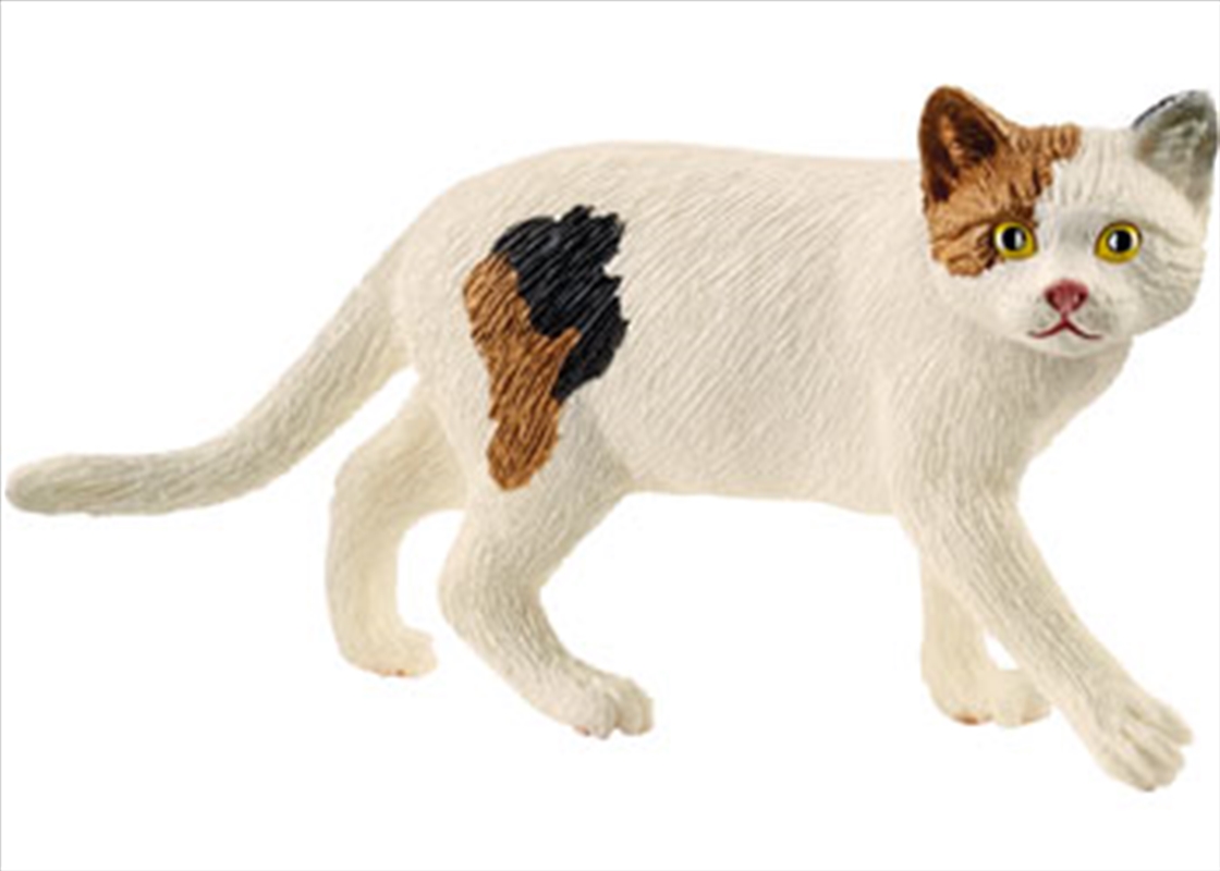 Schleich - American Shorthair Cat/Product Detail/Play Sets