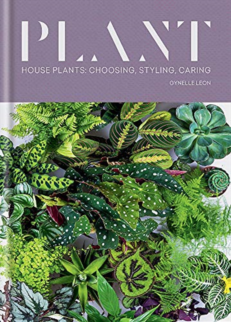 Plant: House plants: choosing, styling, caring/Product Detail/Gardening