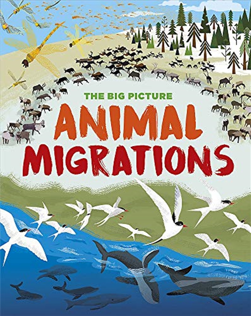 Animal Migration/Product Detail/Childrens Fiction Books