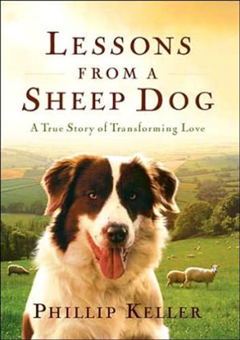 Lessons from a Sheep Dog: A True Story of Transforming Love/Product Detail/Religion & Beliefs