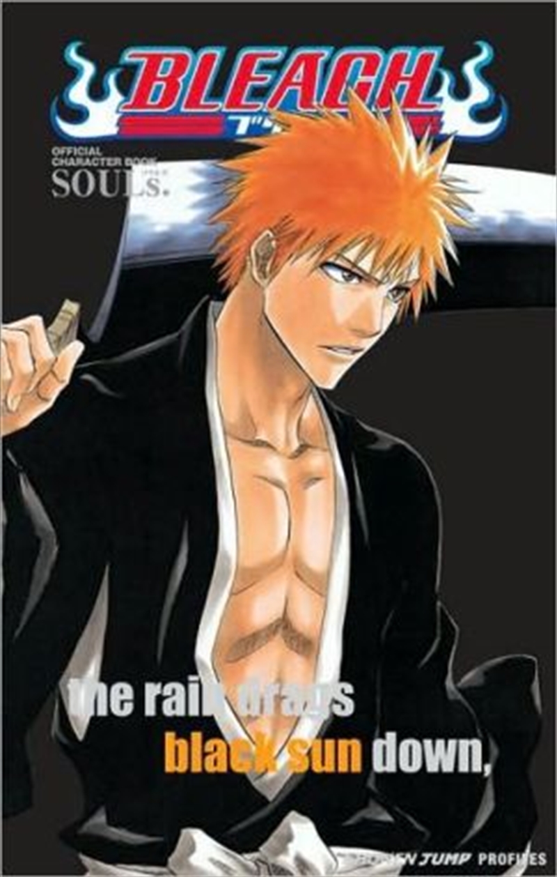 Bleach SOULs. Official Character Book/Product Detail/Manga