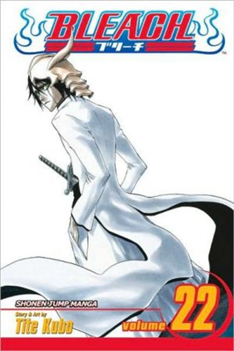 Bleach, Vol. 22/Product Detail/Manga