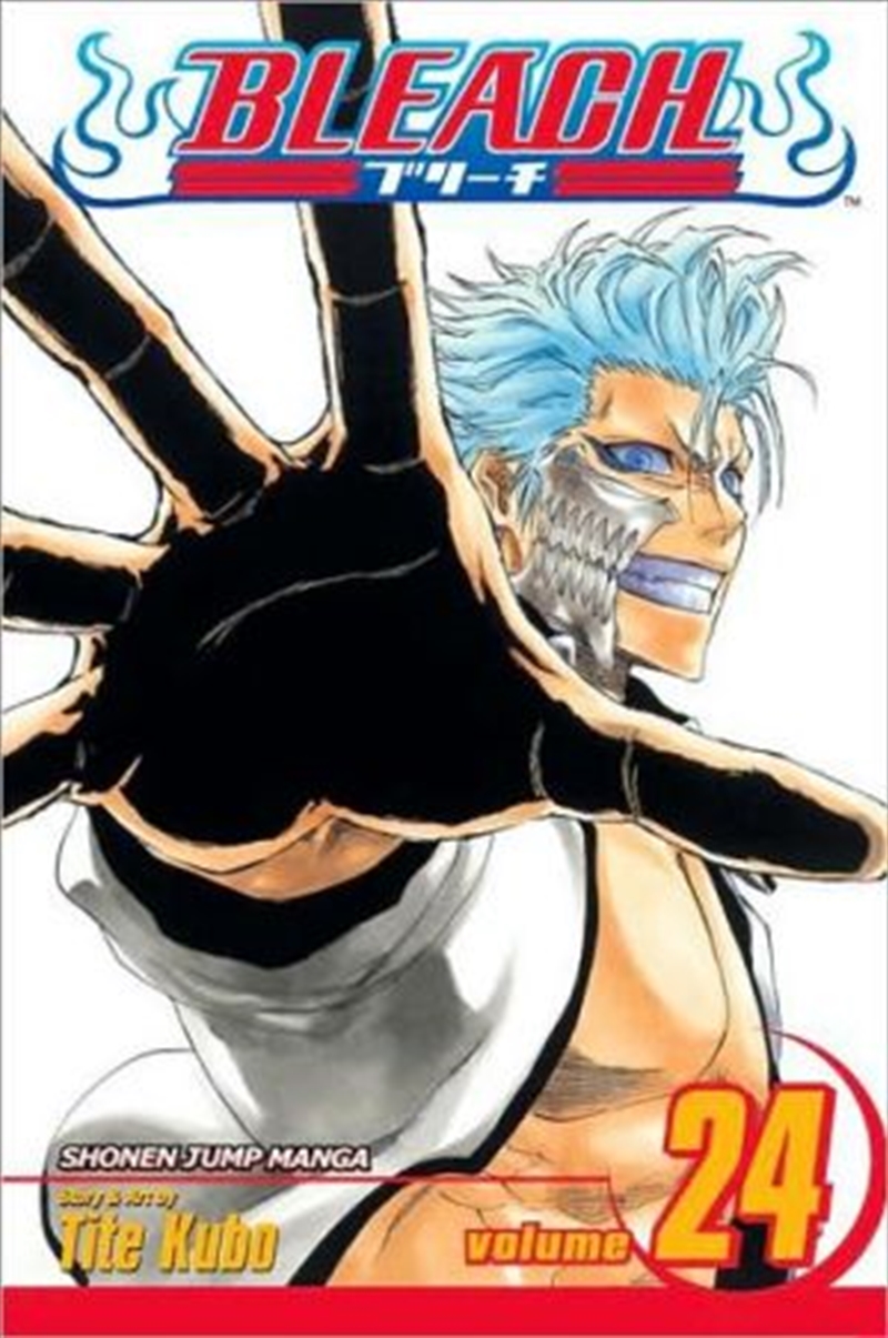 Bleach, Vol. 24/Product Detail/Manga