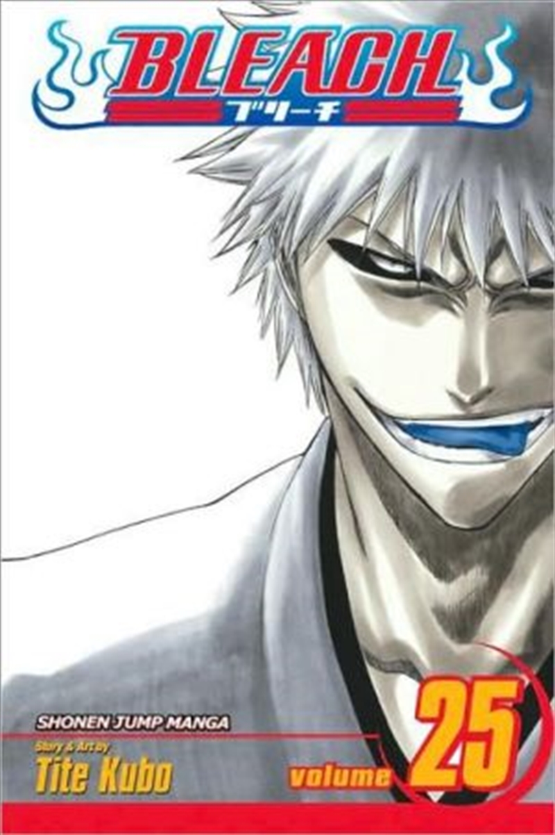 Bleach, Vol. 25/Product Detail/Manga