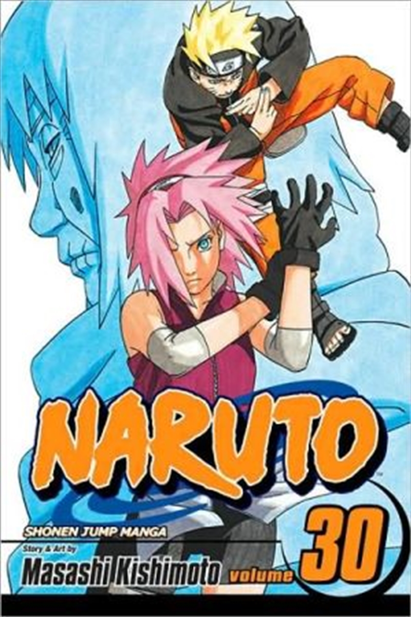 Naruto, Vol. 30/Product Detail/Manga