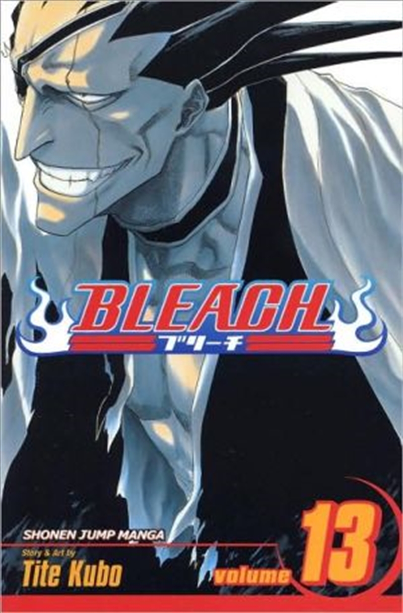 Bleach, Vol. 13/Product Detail/Manga