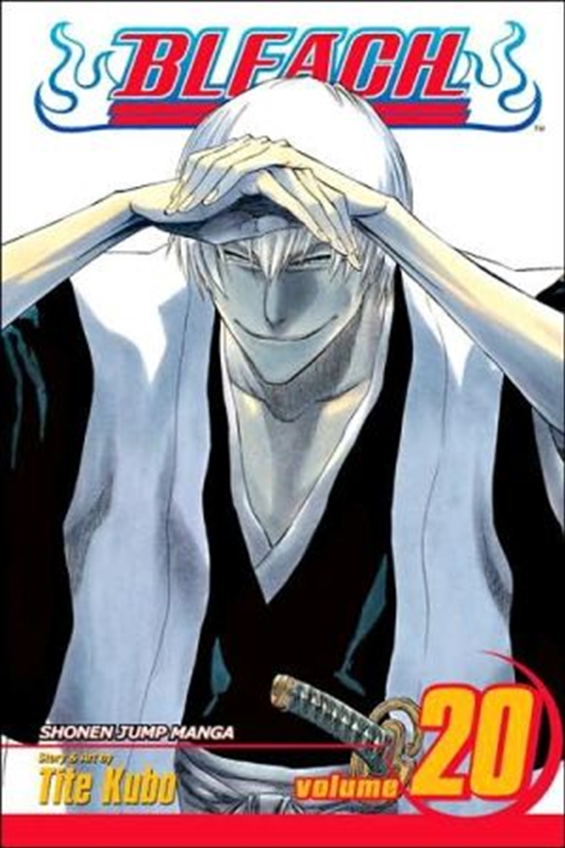 Bleach, Vol. 20/Product Detail/Manga