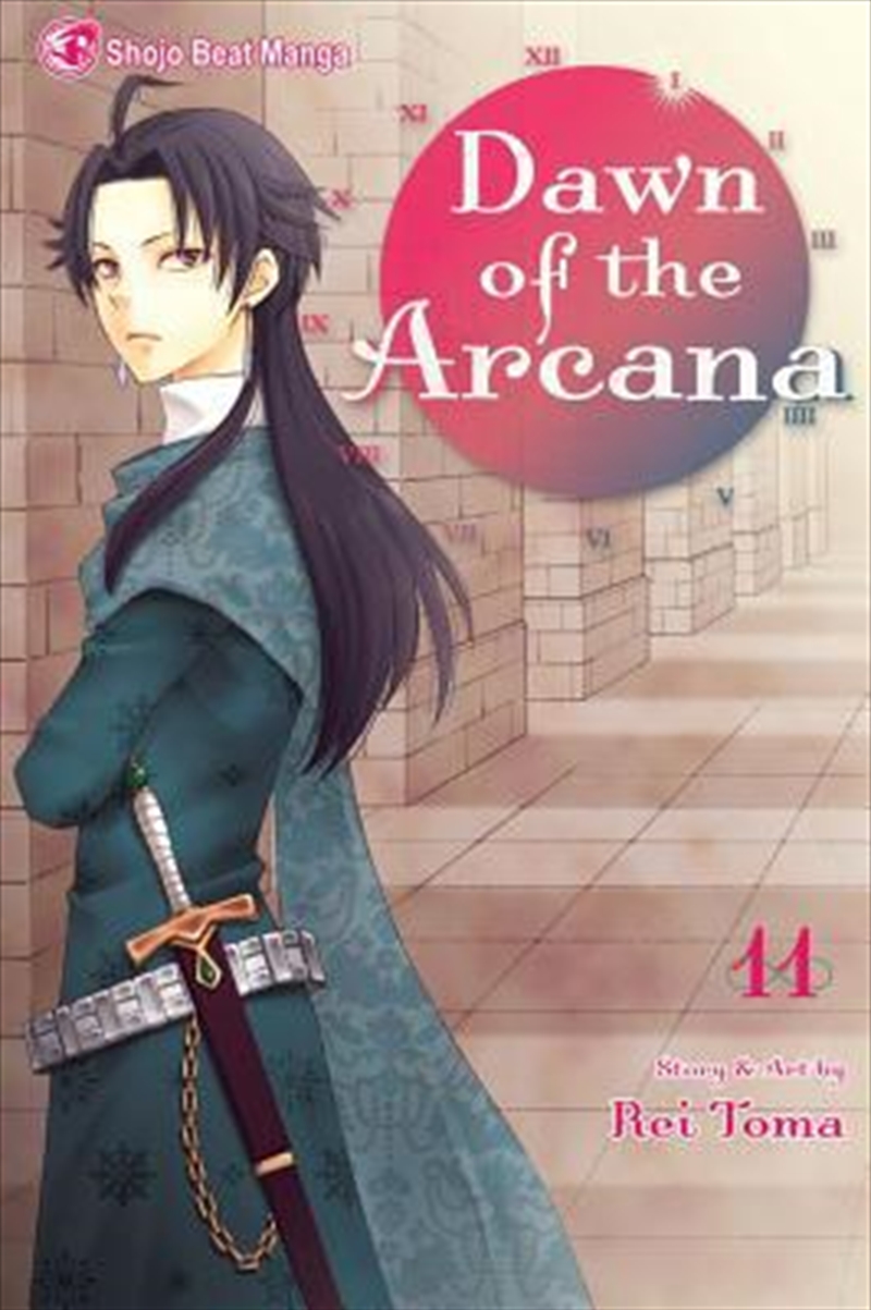 Dawn of the Arcana, Vol. 11/Product Detail/Manga