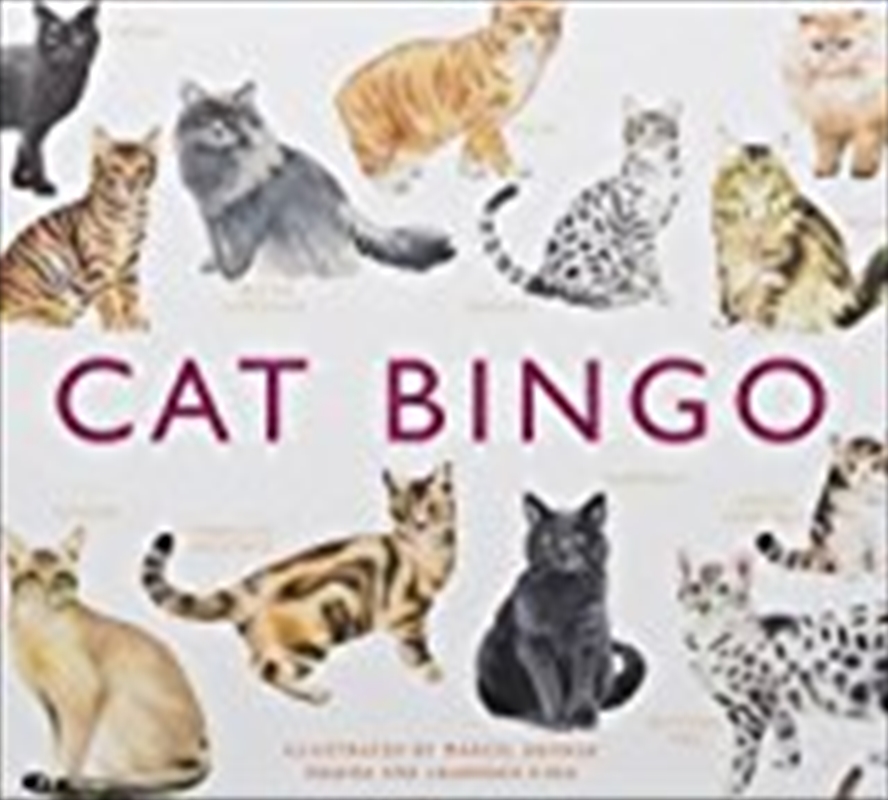 Cat Bingo/Product Detail/Kids Activity Books